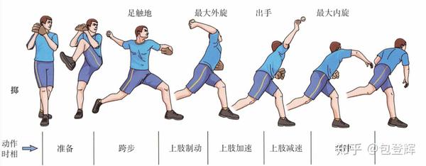 运动损伤系列-投掷肩