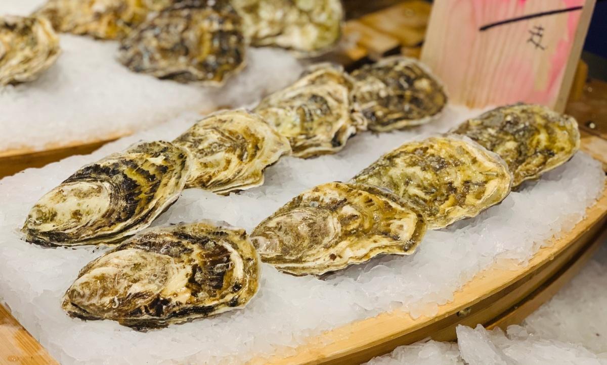 枫林湾(加拿大),熊本(日本).