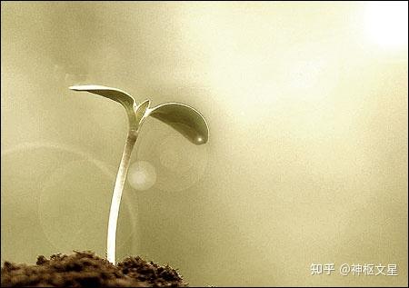 意识心念的伟大秘密