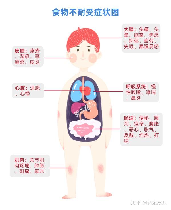 反应食物影响最多的是肠道,其次是大脑.