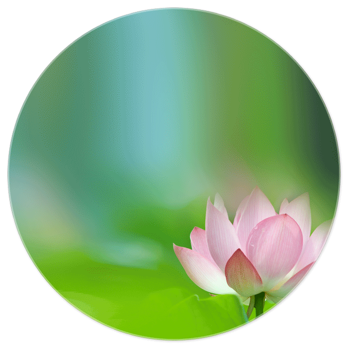 惭悔与更正补充20210325— 向佛法僧承认与惭悔一个可能的错误