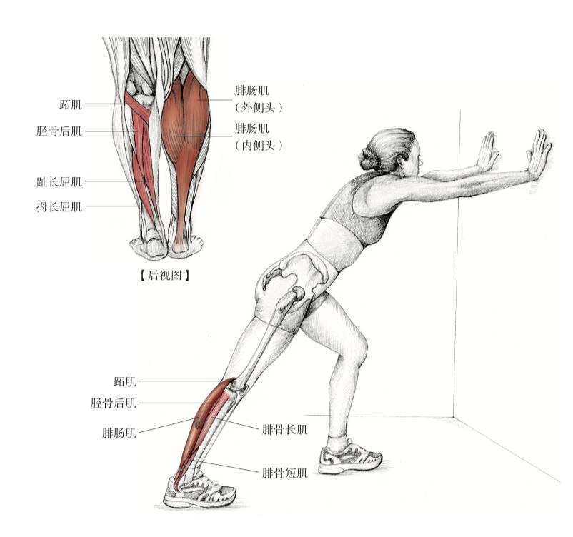 墙脚跟踩地的小腿拉伸