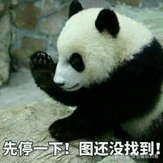 哪些表情包让你看一次笑一次?