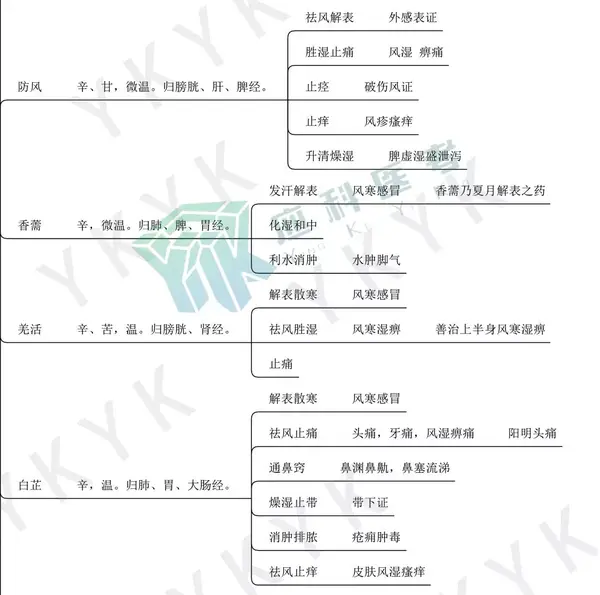 中药思维导图一张图搞定发散风寒药