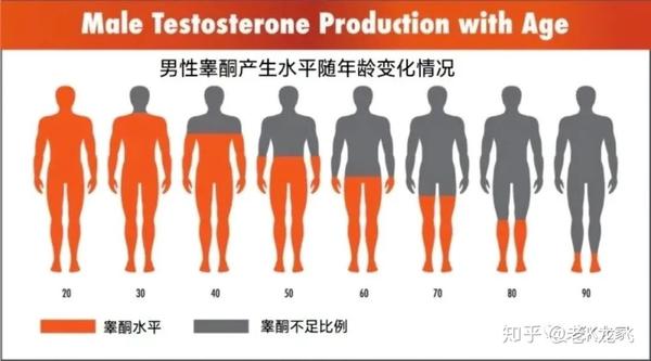 男人睾丸有什么不能说的秘密看完蛋疼