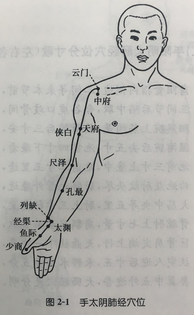 (一) 手太阴肺经穴位分寸歌 (左右各11穴) 乳上三肋间 中府,上行 云门