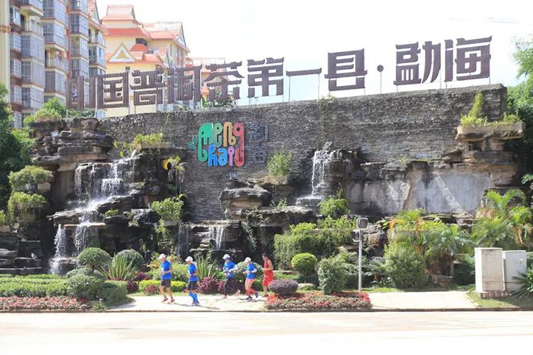 普洱产区这么多勐海凭什么能成为普洱茶第一县