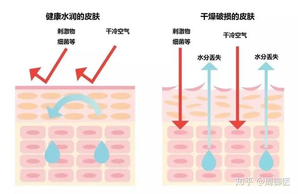 ③水分需求大