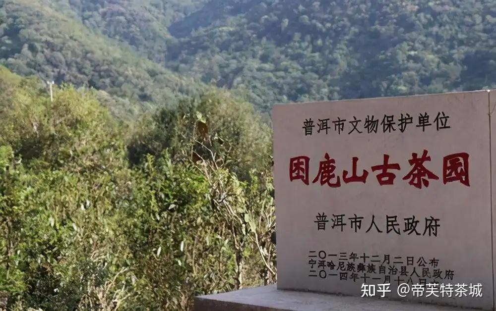 困鹿山,属于无量山余脉.在困鹿山上的原始森林中,山路险峻迷乱,连