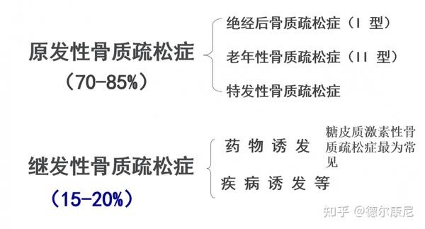 骨质疏松症的分类及分型