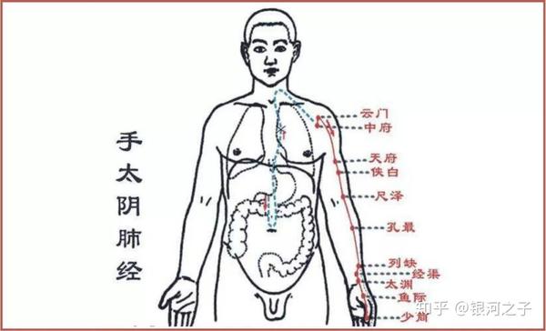 人体能量的运行轨迹#经络