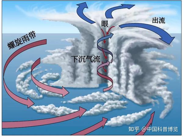 台风结构三维示意图(图片来源:eumetrain)