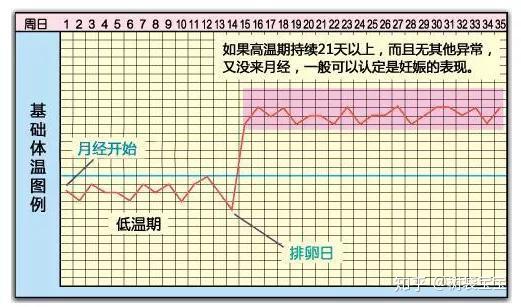 女性受孕成功后的基础体温变化