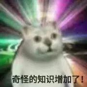 奇怪的知识增加了?近日爆红的猫猫表情包居然出自gv?