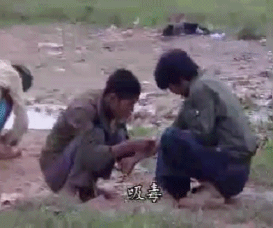画质高糊,镜头摇晃,字幕时有时无,语速慢到要开两倍速才是正常速度