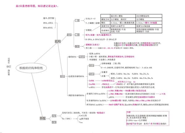 生物化学思维导图-吴在望生化思维导图pdf