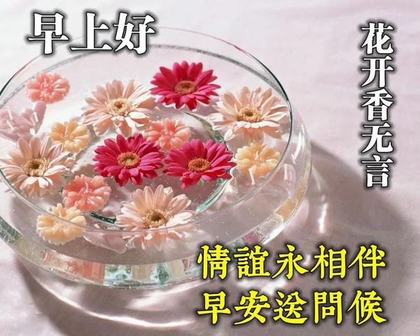 让真情永远;无论世事如何变迁,让宽容永远,无论咫尺还是天涯,让美好