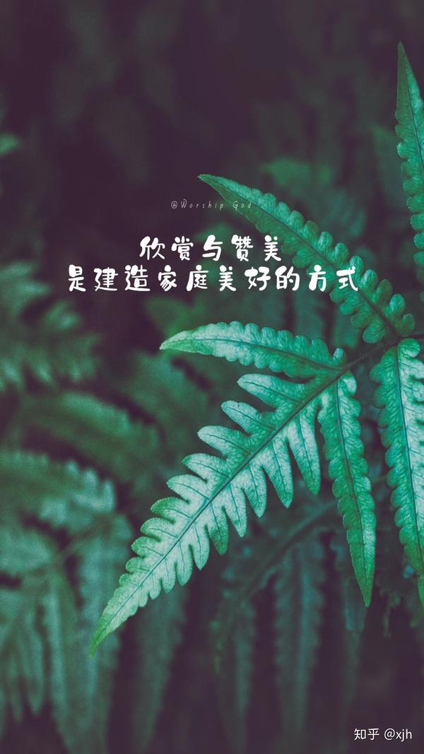 每日|美图|心语