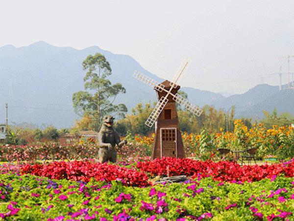 清城区花卉田园乡村度假之旅(金鸡岩名胜古迹风景区—花卉小镇农夫