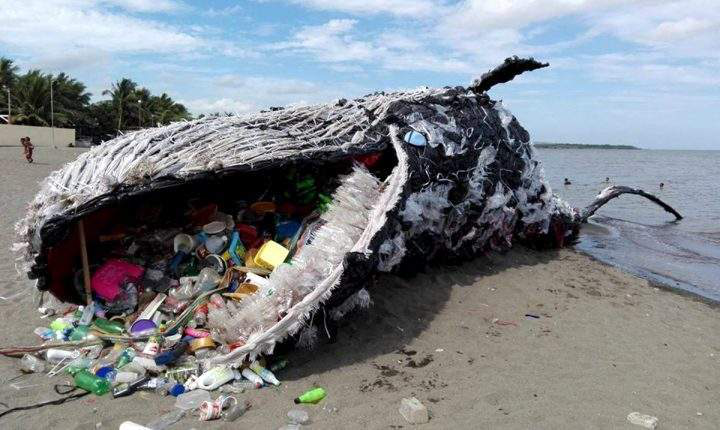 陈根海洋污染不容小觑塑料的伟大何去何从