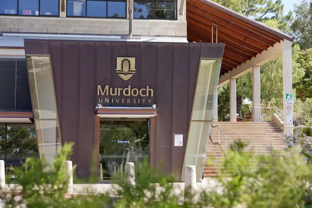 已认证的官方帐号 莫道克大学 murdoch university 澳大利亚莫道克