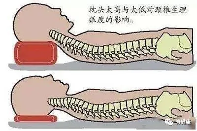 而原因居然是 "家里人怕我驼背,我从小就不睡枕头!