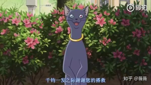 吉卜力 | 猫的报恩