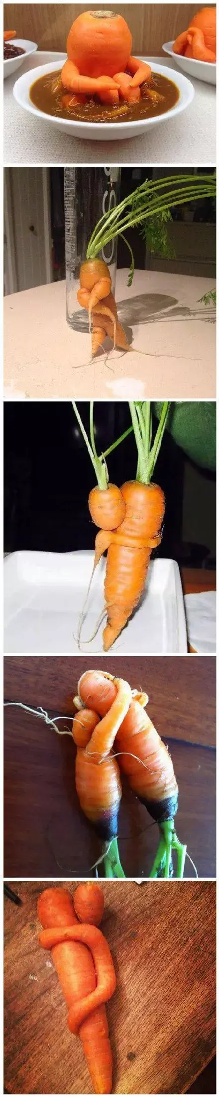一些长得歪瓜裂枣的蔬菜水果,永远只能出现在网上的内涵图片和搞笑