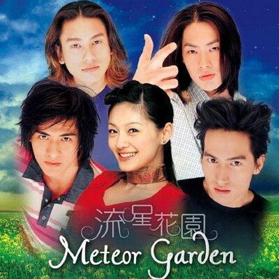 年轻这些事:那些年,我们追过的流星花园