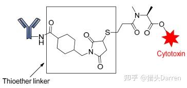 ADC药物连接子全方位梳理 知乎