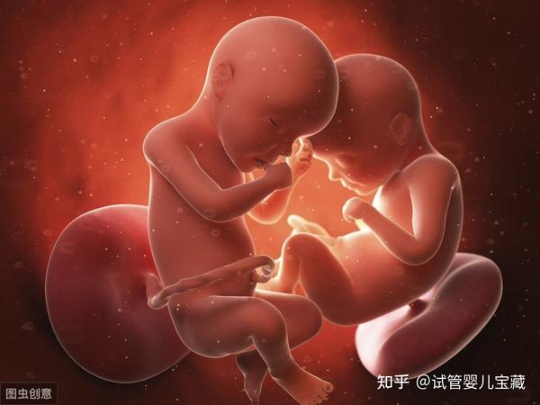 生男生女能人为控制吗实拍胎儿性别发育过程可以自己选择生男生女吗