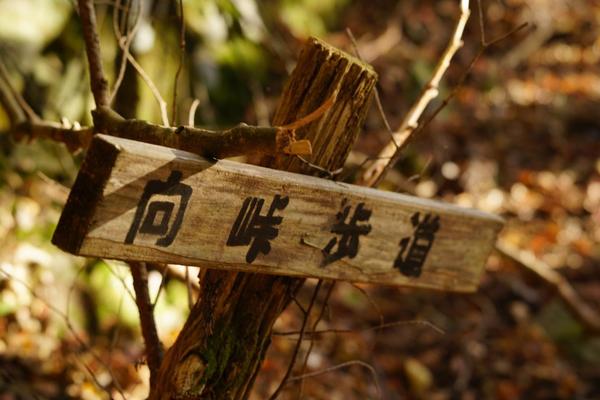 60年前的王女之死 —— 天城山殉情