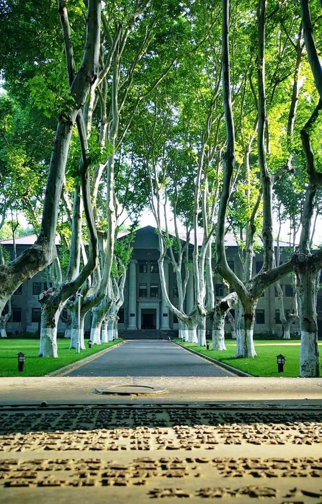 东南大学风景园林专业跨考考生该如何准备?