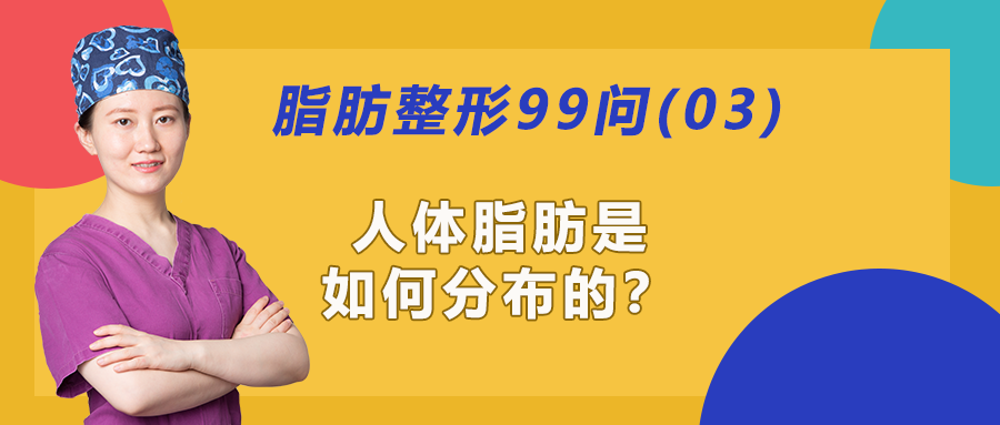 3人体脂肪是如何分布的哪些部位的脂肪可以抽吸哪些可以用来移植