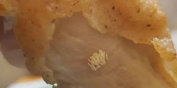 打死的苍蝇死后没看见蛆死过的地方以后会有蛆吗