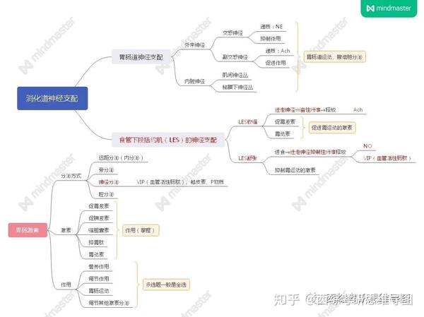 生理学思维导图循环系统