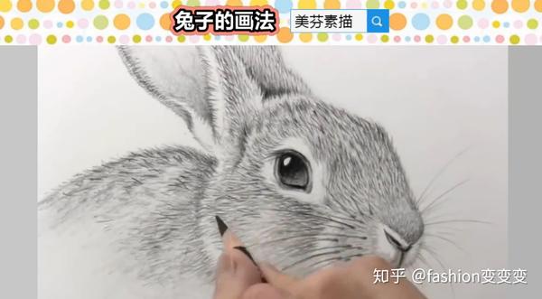 教你画素描兔子,先分析起形,起形可以用几何形状概括的方法.