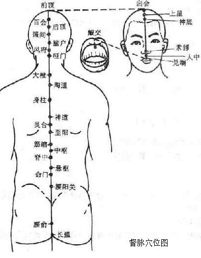 头部经络刮痧健脑又养发