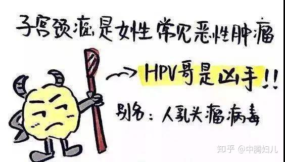hpv是人乳头瘤病毒的缩写,目前约有160多个hpv型别,与女性生殖道疾病