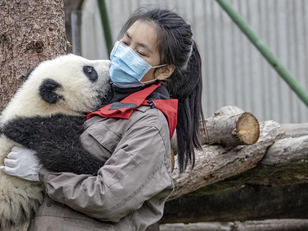 你见过中国最震撼的美景有哪些