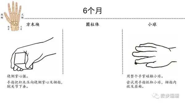 心灵手巧简单自测1岁内宝宝手部精细运动