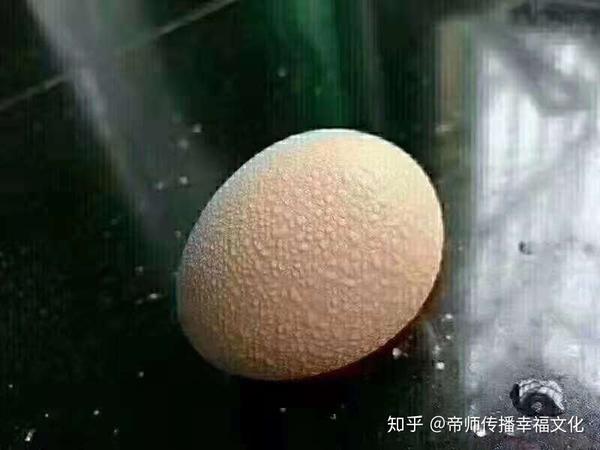 男性健康之阴囊潮湿是什么