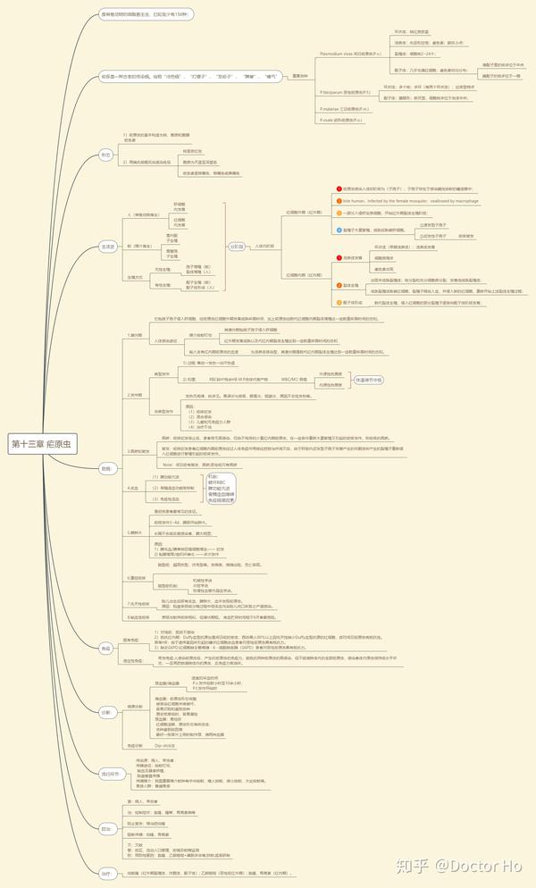 医学寄生虫学第五版 思维导图