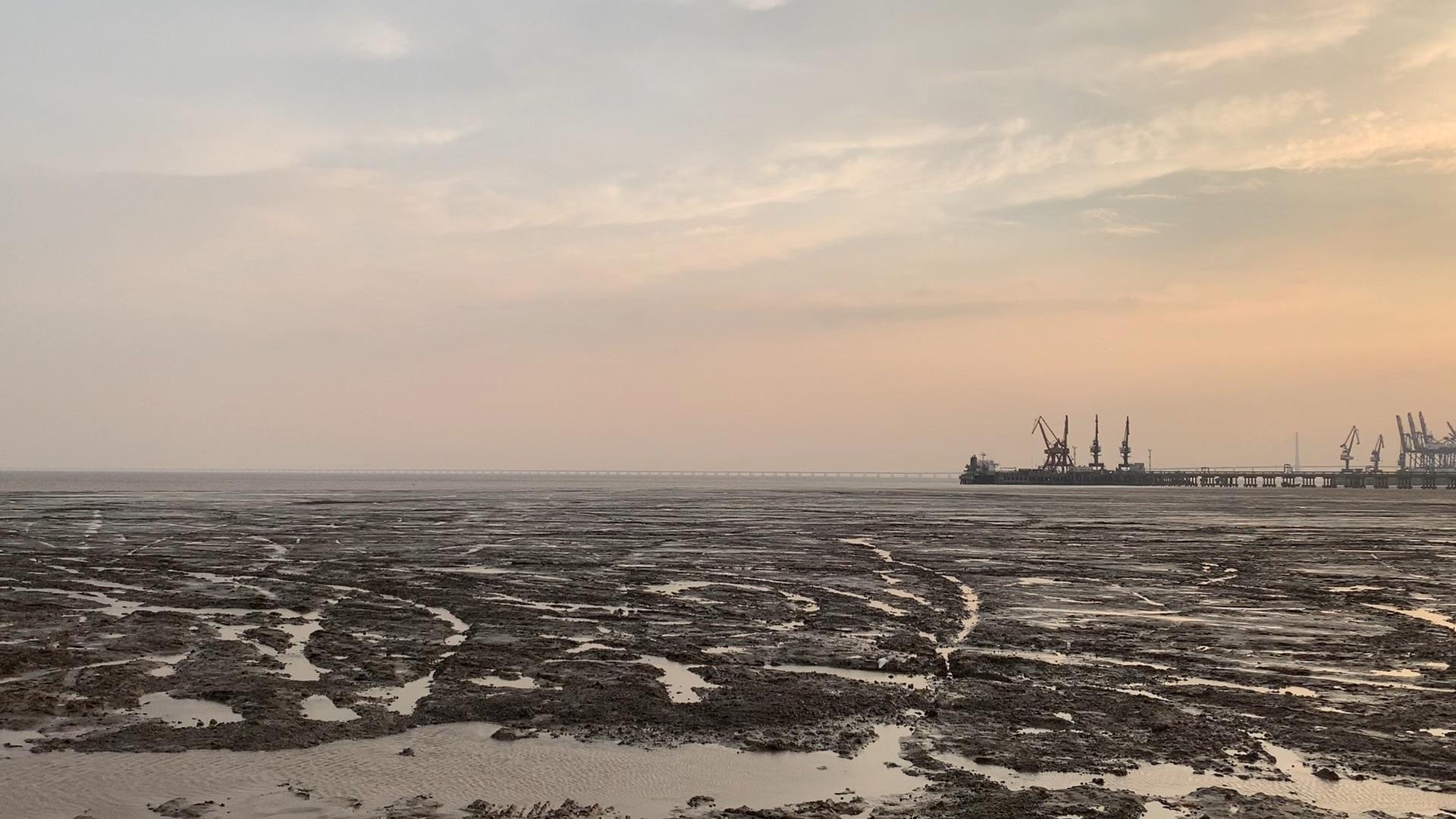 地点:浙江省平湖市乍浦镇海边拍摄.