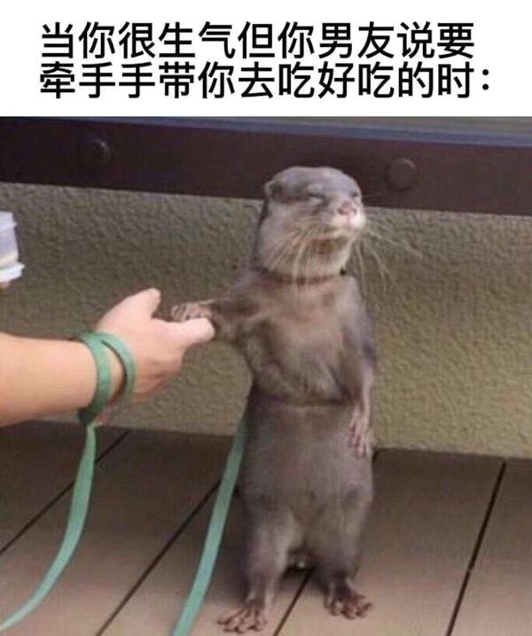 秀翻全场的搞笑图片(12)