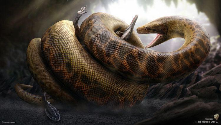连巨型肉食恐龙都吃盘点地球上已灭绝的最大最恐怖史前巨蛇