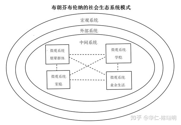 形成"社会生态系统理论"