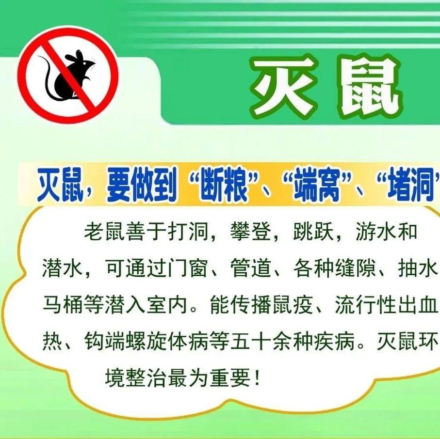 灭鼠灭蚊灭蝇灭蟑春季还需防虫媒传染病