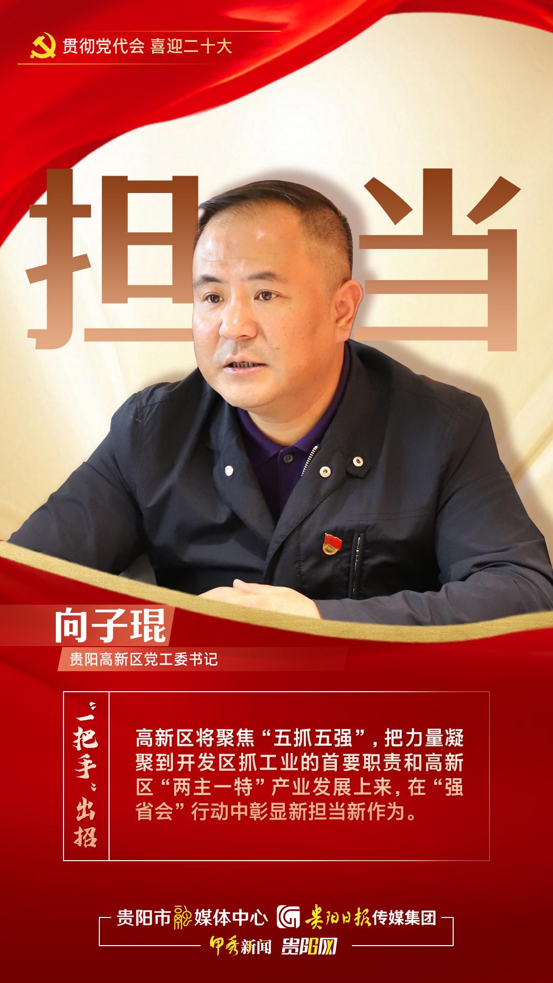 贯彻党代会喜迎二十大一把手出招贵阳高新区党工委书记向子琨聚焦五抓