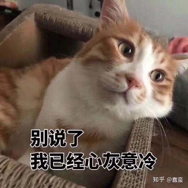 有没有表情包可以表达难受 不高兴的情绪?